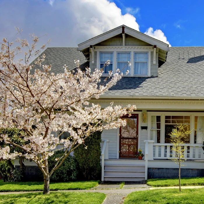 Quaint old house with a cherry blossom tree in front.