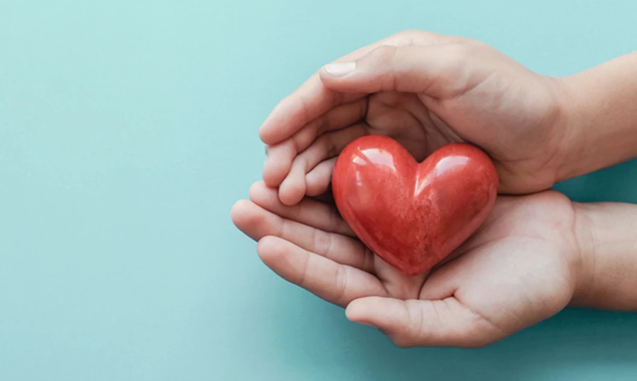 Heart in hands
