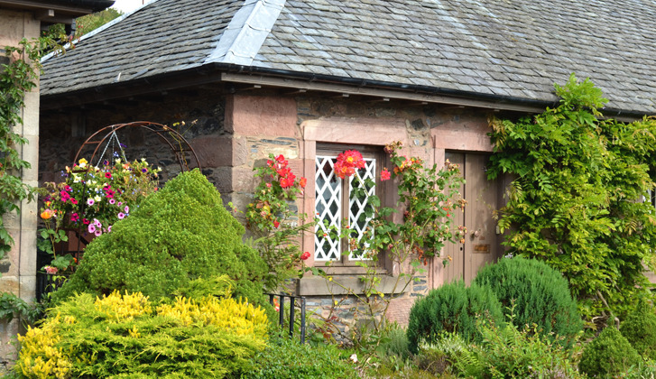 A cozy house, covered in greenery with white lattice on the windows.