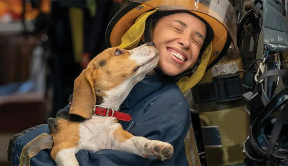 firefighter with dog
