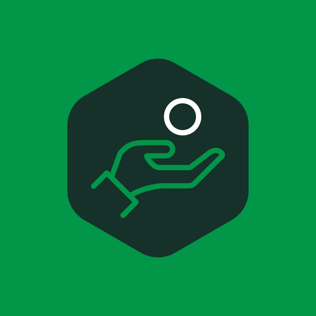 Advanced Paycheck Icon