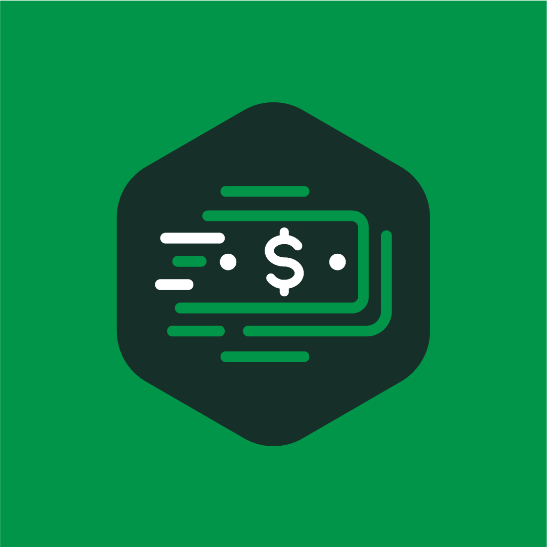 Flex Cash Icon