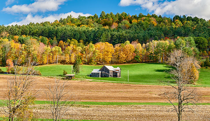 Farm house on a sprawling property in late summer/early fall.